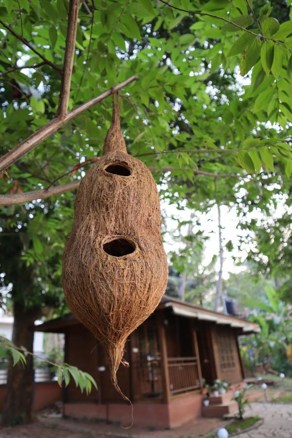 Greenchromide Homestays Mundrothuruth Esterno foto